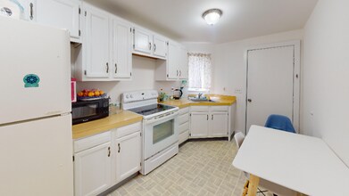 113 Laurel Ave in Binghamton, NY - Building Photo - Building Photo