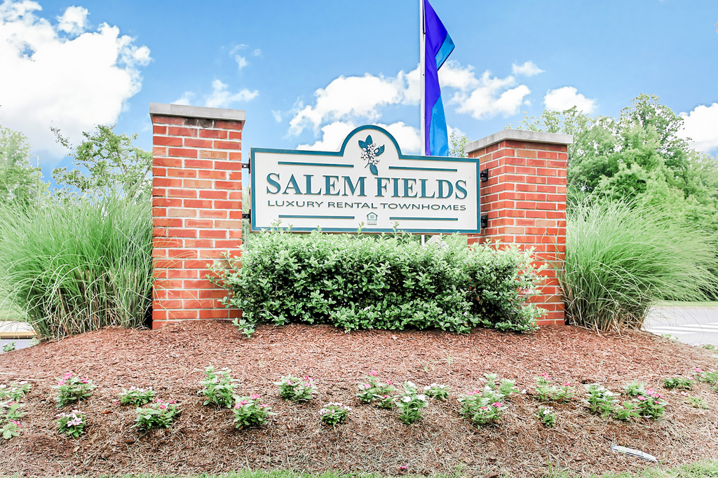 Salem Fields Townhomes in Fredericksburg, VA - Building Photo