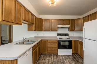 113 Balcerzak Dr in Mankato, MN - Building Photo - Building Photo