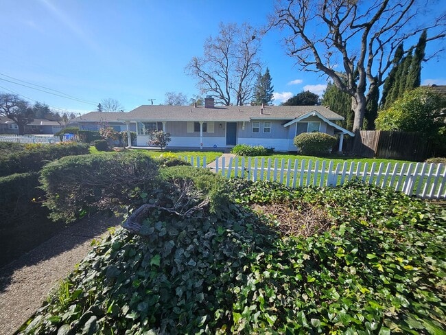 145 Las Juntas Way in Walnut Creek, CA - Building Photo - Building Photo