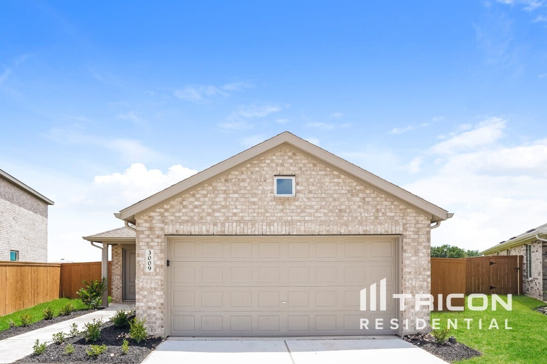 3009 Dawn Sound Dr in Park Row, TX - Building Photo