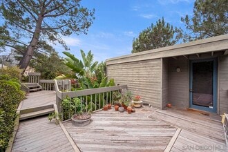 13070 Via Grimaldi in Del Mar, CA - Building Photo - Building Photo