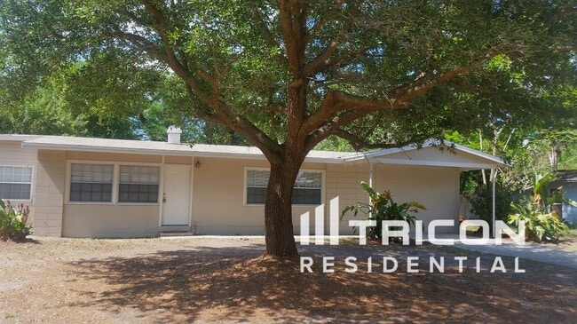 3469 Seagrape Dr in Winter Park, FL - Building Photo - Building Photo