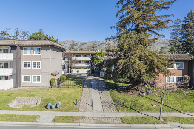 Redwood Square Condominiums in Fremont, CA - Building Photo - Building Photo