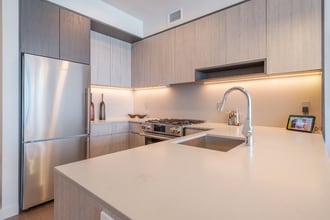 1215 S Indiana Ave in Chicago, IL - Foto de edificio - Building Photo