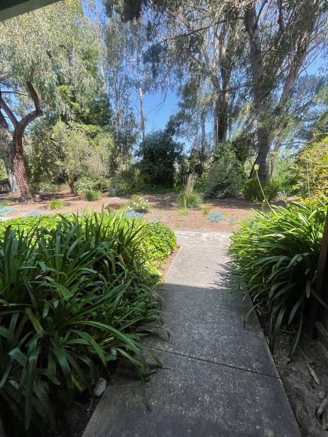 1144 Callas Ln in Capitola, CA - Building Photo - Building Photo