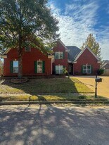 9847 Winsford Ln in Cordova, TN - Building Photo