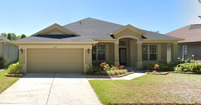 19137 Cherry Rose Cir in Lutz, FL - Building Photo - Building Photo