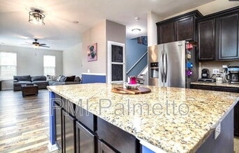 167 Wingspan Way in Chapin, SC - Building Photo - Building Photo