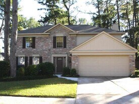 11411 Sky Way Dr in Cypress, TX - Building Photo