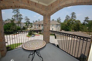 6607 Lake Woodlands Dr in The Woodlands, TX - Building Photo