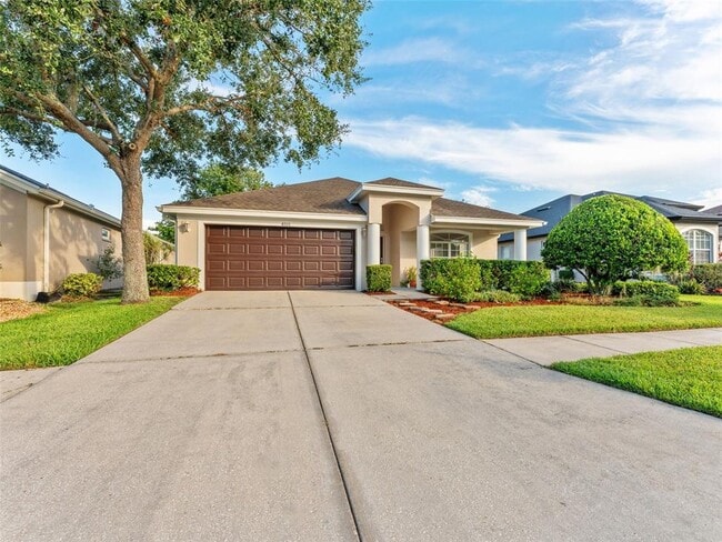 4205 Knollpoint Dr in Wesley Chapel, FL - Building Photo - Building Photo