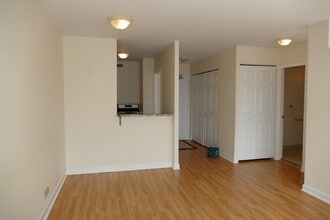 1460 N Sandburg Terrace in Chicago, IL - Building Photo - Building Photo
