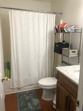 224 Cook St in Auburn, AL - Building Photo - Building Photo