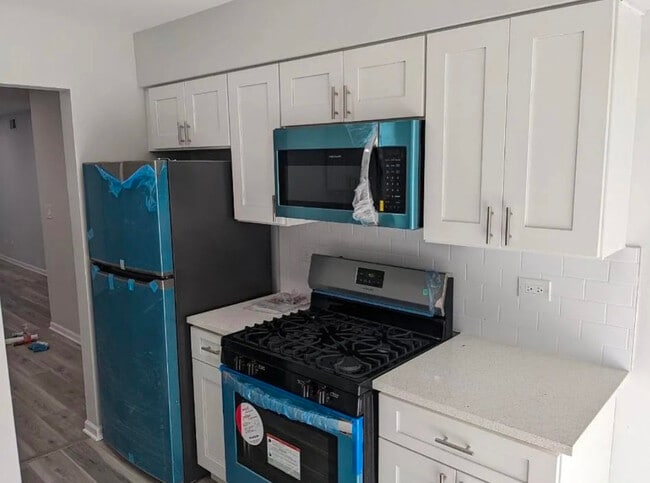 224 E Rimini Ct in Palatine, IL - Building Photo - Building Photo