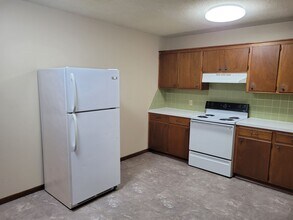 1419 E Cairo St in Springfield, MO - Building Photo - Building Photo