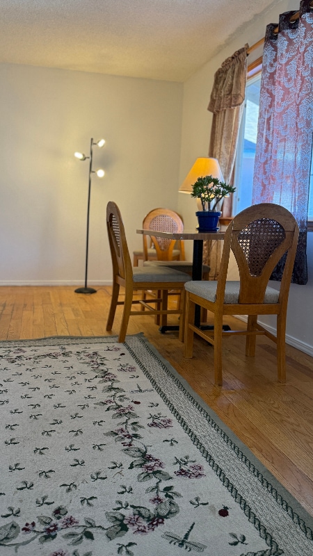 1377 Fallen Leaf Dr in Milpitas, CA - Building Photo - Building Photo