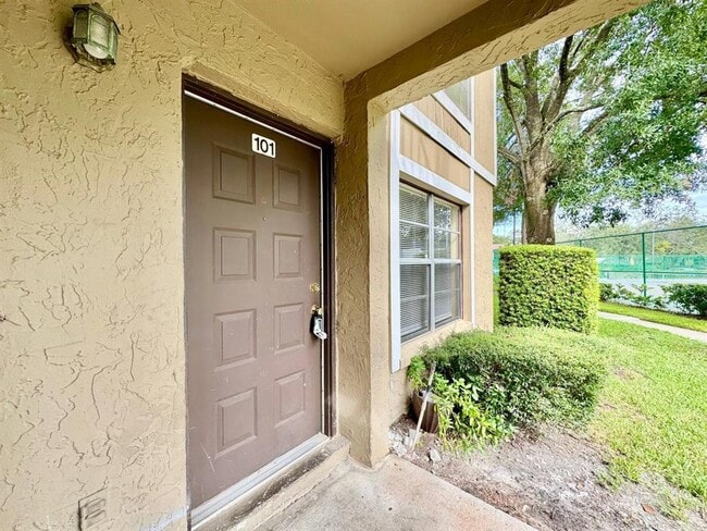 14419 Hanging Moss Cir in Tampa, FL - Building Photo - Building Photo