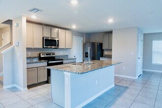 11730 White Willow Ln in Riverview, FL - Foto de edificio - Building Photo