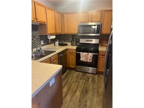 1585 Serenity Ln in Waconia, MN - Building Photo - Building Photo