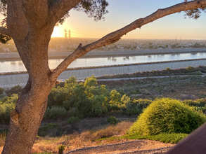 2151 Pacific Ave in Costa Mesa, CA - Building Photo - Building Photo