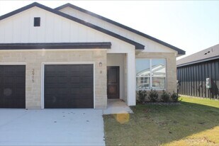 2915 Wildcat Rdg Rd in Temple, TX - Building Photo