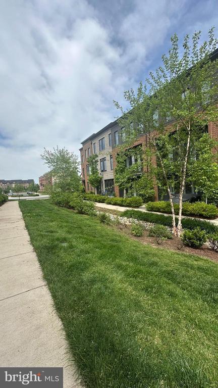 42336 Zebulon Sq in Ashburn, VA - Building Photo - Building Photo