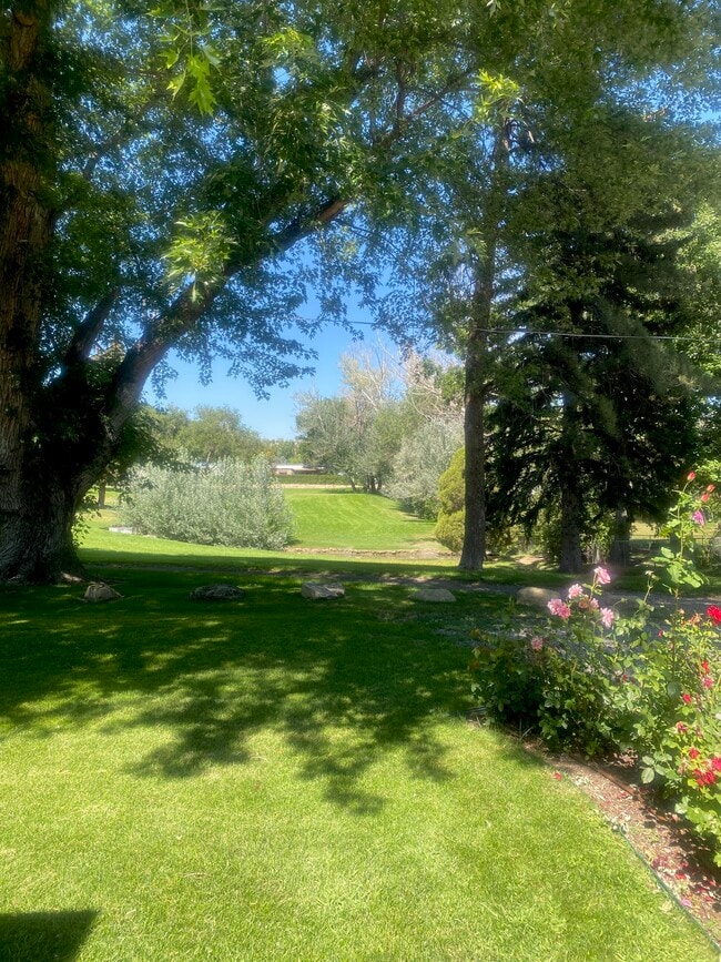 property at 1446 Norman Park Dr