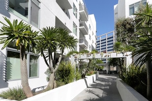 3 Bedroom Hollywood Hills Apartments For Rent Los Angeles Ca The Avenue Hollywood Apartments