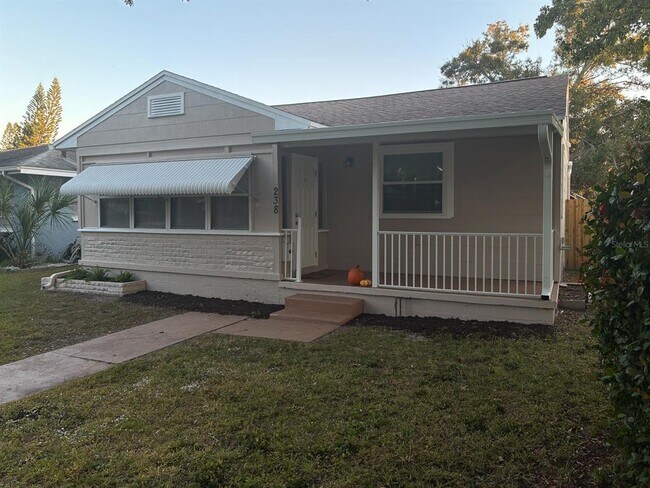 238 43rd Ave N in St. Petersburg, FL - Building Photo - Building Photo