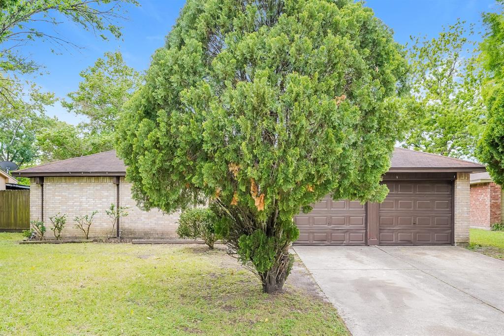 14147 Magnolia Springs Dr Photo