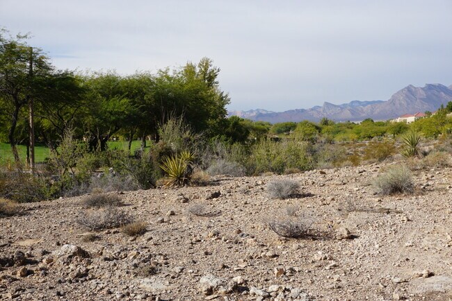 1909 Villa Palms Ct in Las Vegas, NV - Building Photo - Building Photo