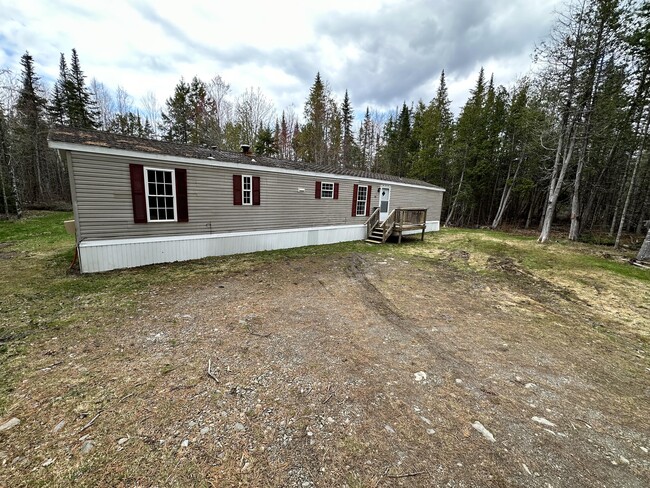 125 Robichaud Rd in Levant, ME - Building Photo - Building Photo