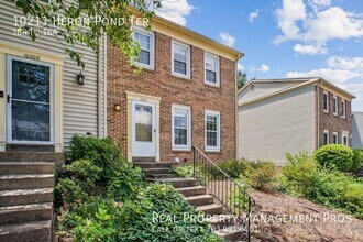 10211 Heron Pond Terrace in Burke, VA - Building Photo - Building Photo