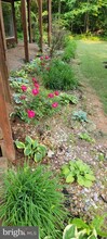3395 Freezeland Rd in Linden, VA - Building Photo - Building Photo