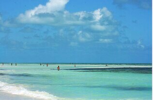 129 Cunningham Ln, Unit 1st Floor in Big Pine Key, FL - Building Photo