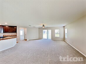 10614 Massimo Dr in Wimauma, FL - Building Photo - Building Photo