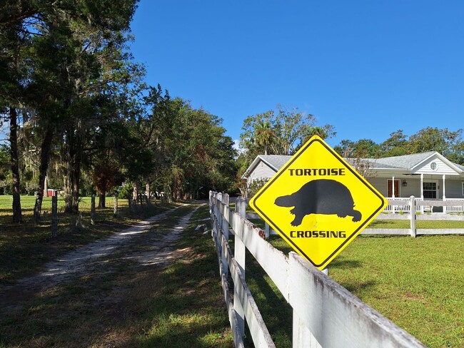 1061 S Glencoe Rd in New Smyrna Beach, FL - Building Photo - Building Photo