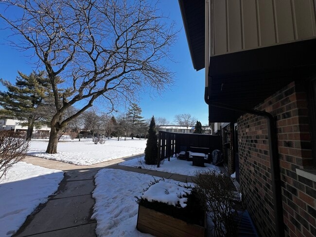 7333 Winthrop Way in Downers Grove, IL - Building Photo - Building Photo