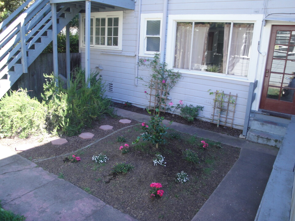 1457 11th Ave, Unit Courtyard Garden in San Francisco, CA - Building Photo