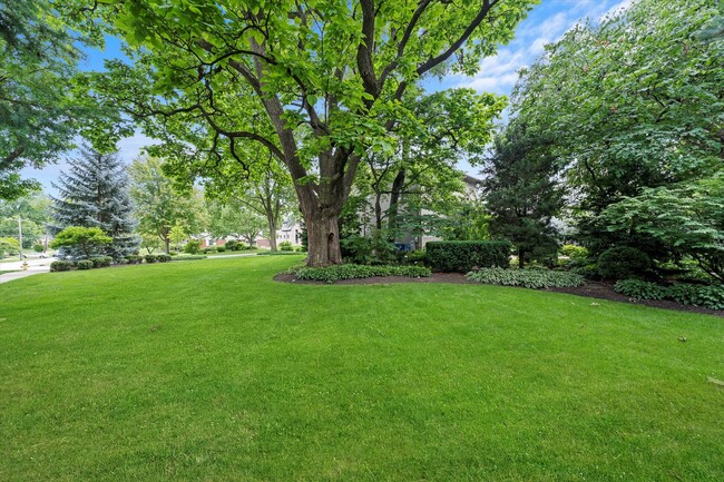108 S Adams St in Hinsdale, IL - Foto de edificio - Building Photo
