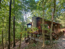 423 Laurel Creek Road in Blue Ridge, GA - Building Photo