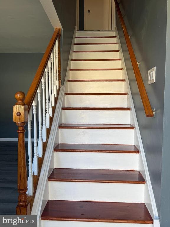 2703 Mimosa Ct in Hamilton, NJ - Foto de edificio - Building Photo