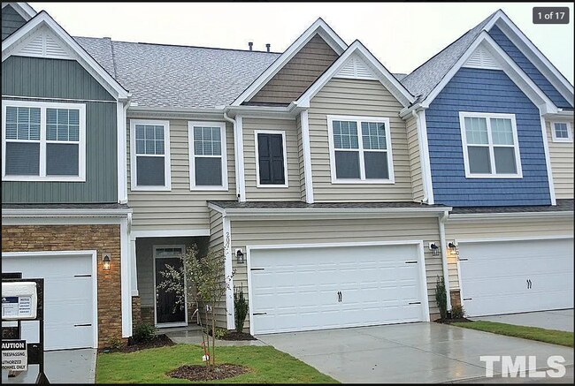 property at 207 Acorn Hollow Pl