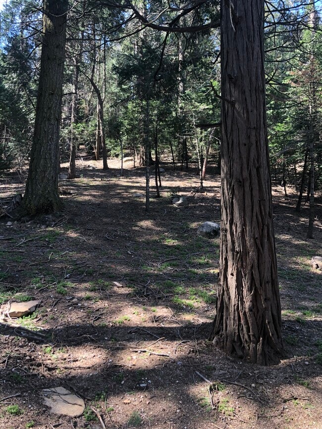 property at 24543 Albrun Dr