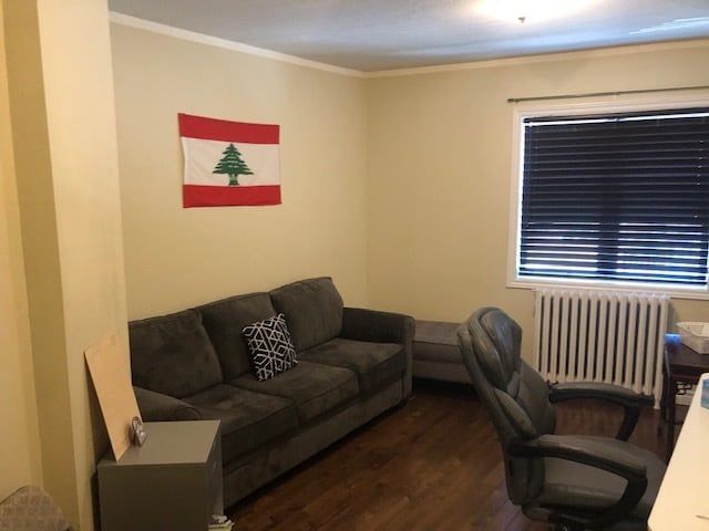 1124 Main St W in Hamilton, ON - Building Photo - Building Photo