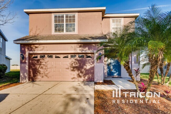 10239 Newminster Loop in Ruskin, FL - Building Photo - Building Photo