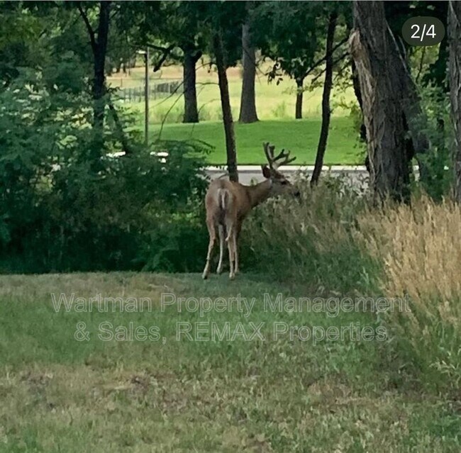 1530 Little Bear Creek Point in Colorado Springs, CO - Building Photo - Building Photo