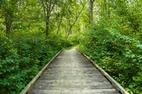 Apartments in Wixom, MI