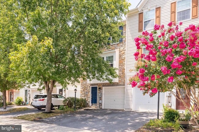 property at 1217 Steed St